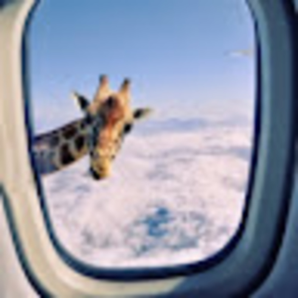 Meet your Posher, Old